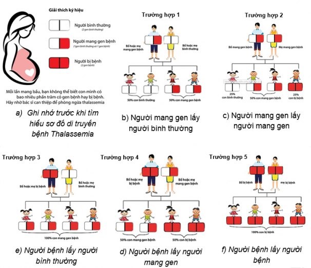 thalassemia
