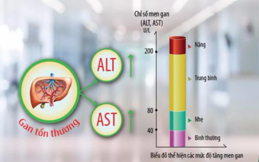 Xét nghiệm AST là gì?