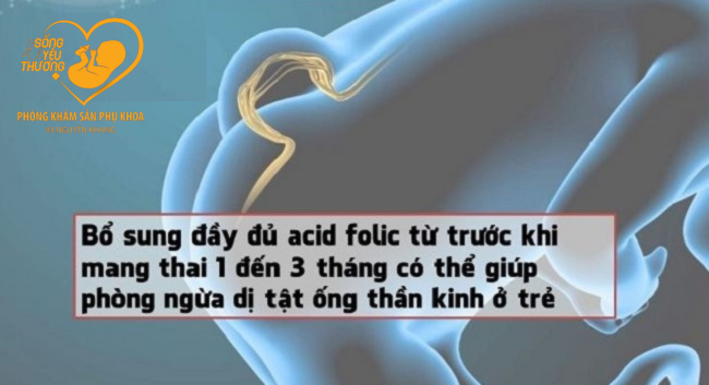 bổ sung acid folic trước khi mang thai 