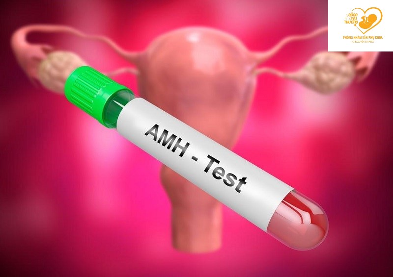 chỉ số AMH thấp