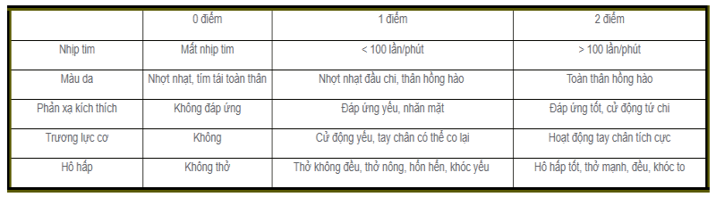 apgar, chỉ số apgar, sơ sinh, hồi sức sơ sinh