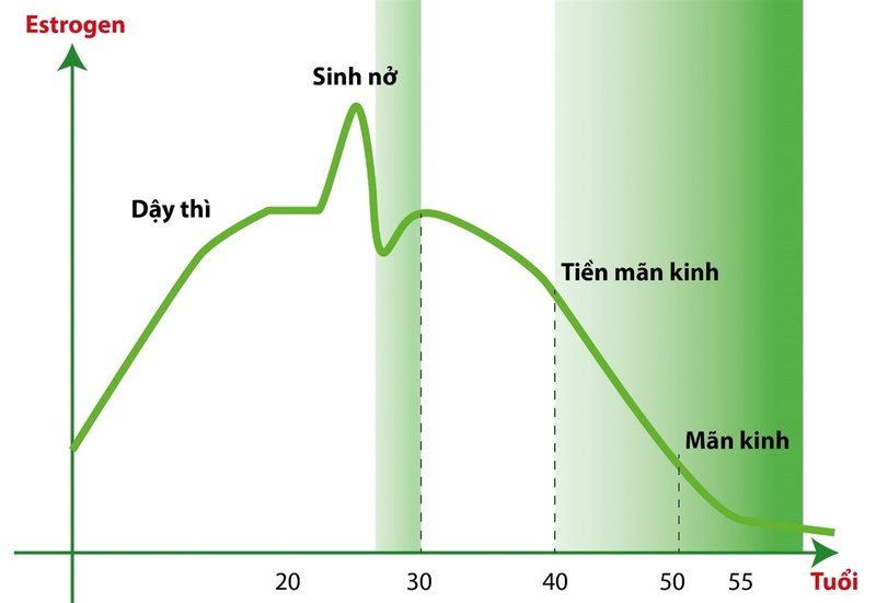điều trị viêm phụ khoa