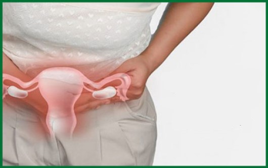 Những bệnh viêm nhiễm phụ khoa thường gặp