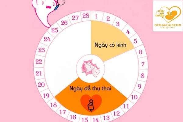siêu âm canh trứng