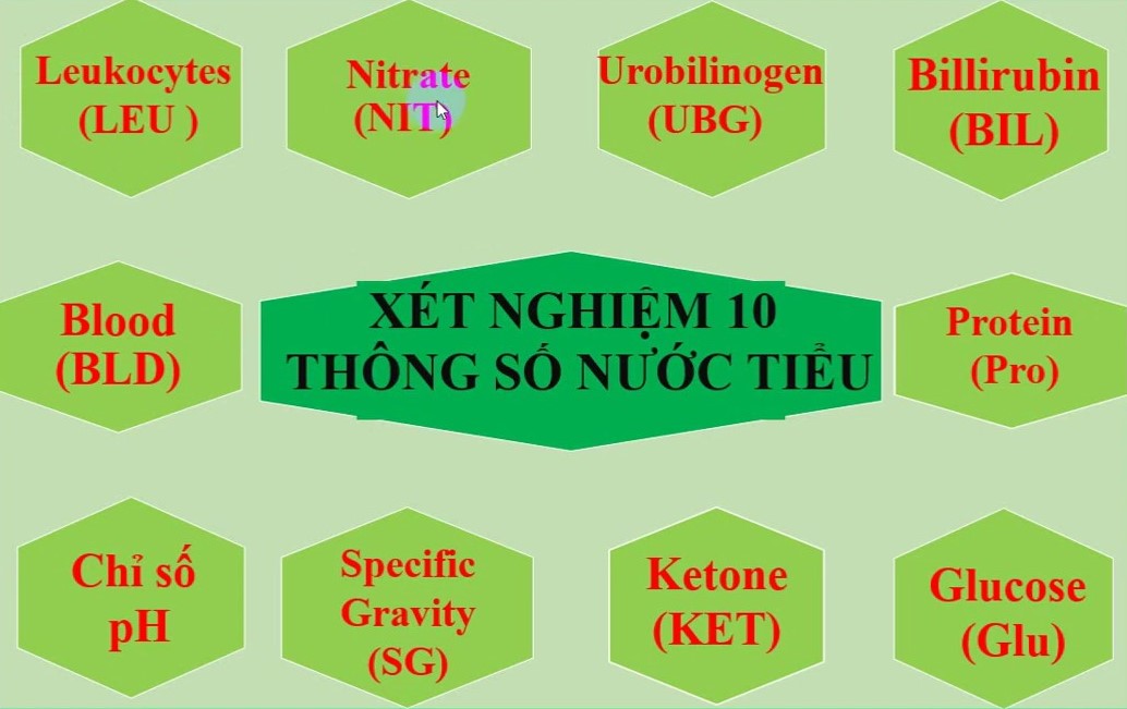 xét nghiệm nước tiểu 