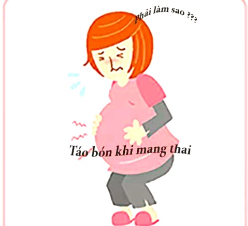 táo bón