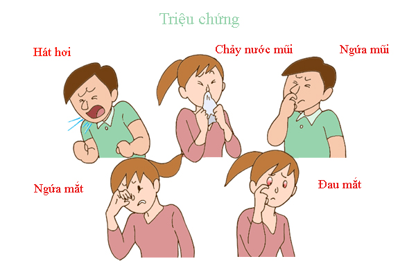 triệu chứng viêm mũi dị ứng
