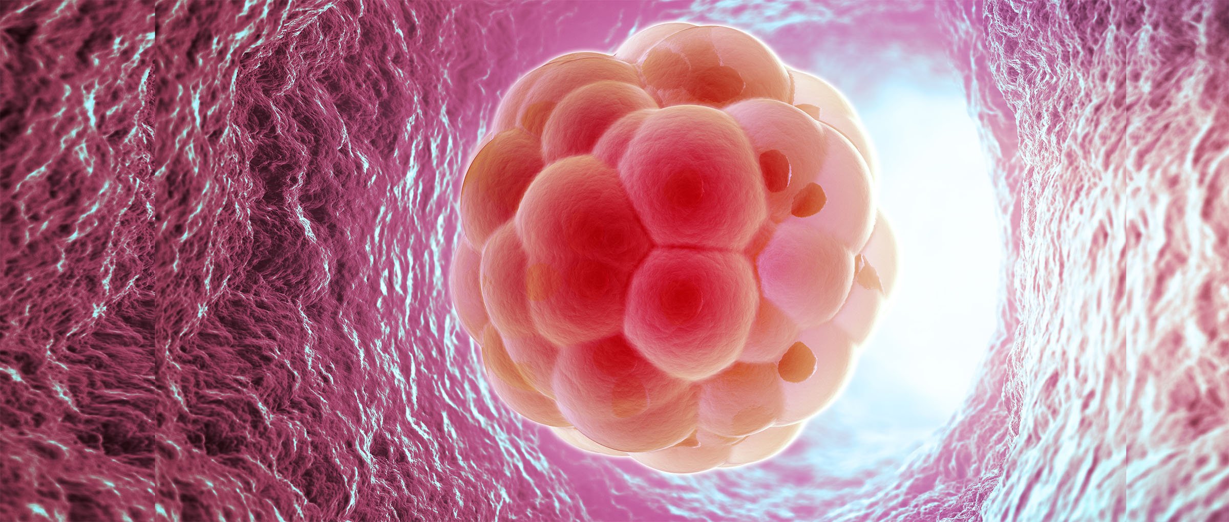 nguyên nhân khiến IVF thất bại các mẹ cần lưu ý