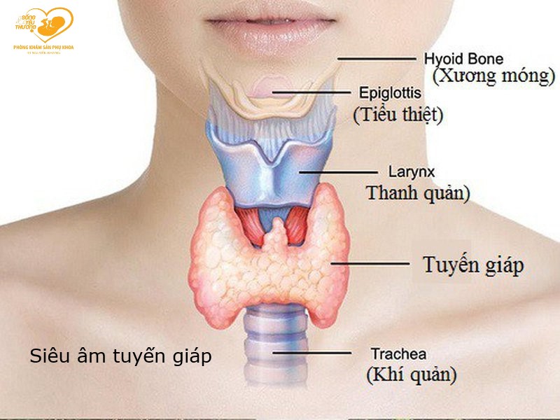 cường giáp