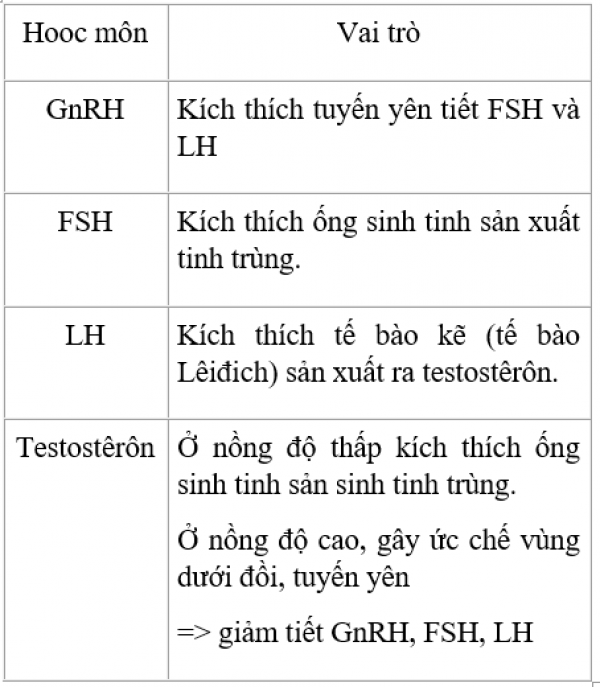 vai trò của hormone LH