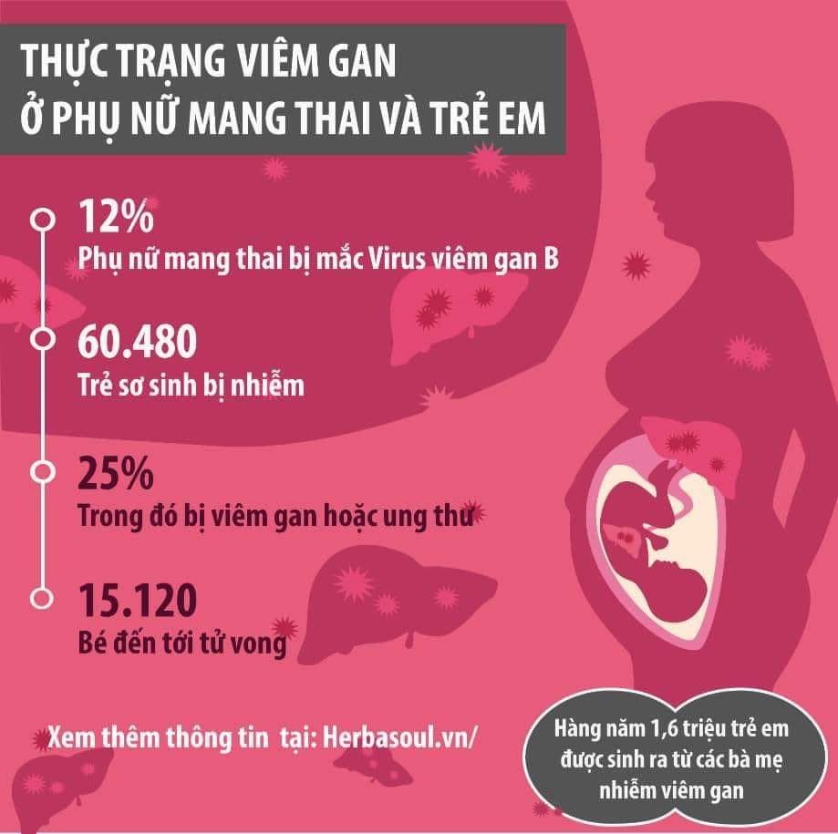 điều trị viêm gan b khi mang thai