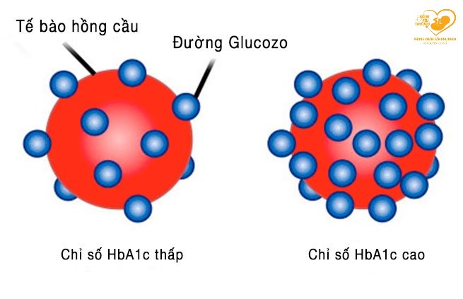xét nghiệm hba1c